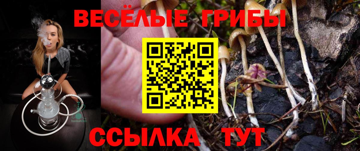 Псилоцибиновые грибы мицелий Волжск