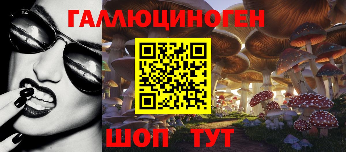 Волжск  где можно купить наркотик  Вход с VPN  Псилоцибиновые грибы мицелий  Псилоцибиновые грибы прущие грибы 